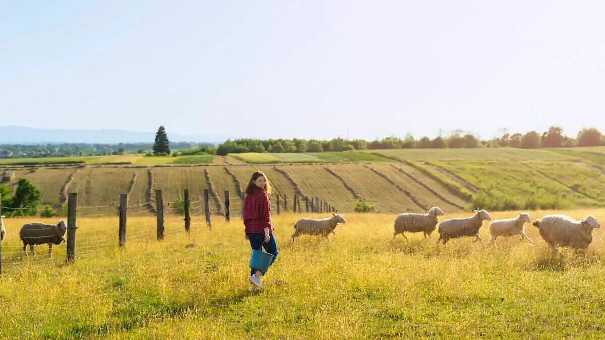 Rabobank Australia: Nurturing agriculture though high-yield savings products