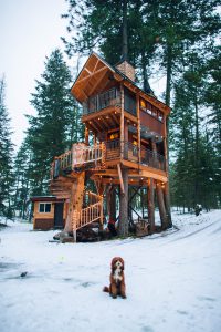 airbnb tree house